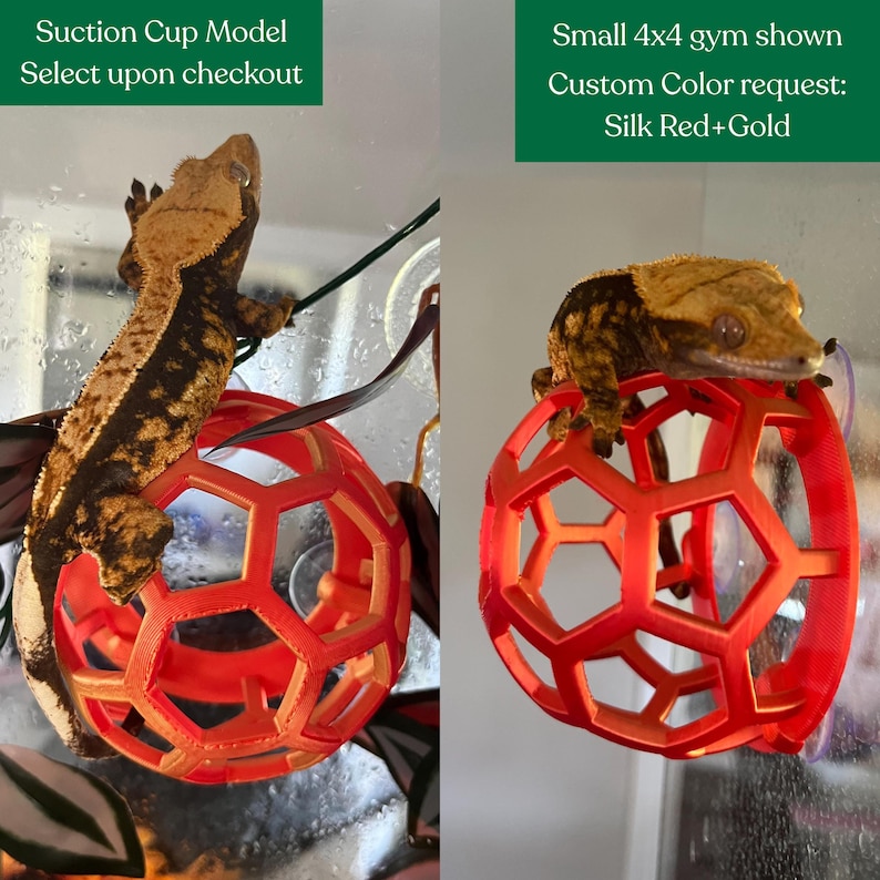 May include: A crested gecko climbing on a red, spherical, geometric climbing toy with a hexagonal pattern. The toy is attached to a glass surface with a suction cup. Text on the image reads: Suction Cup Model Select upon checkout and Small 4x4 gym shown Custom Color request: Silk Red+Gold.