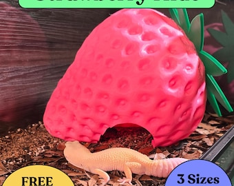 Leopard Gecko Strawberry Hide: Reptile Decor