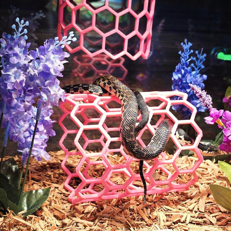 Snake Enrichment Full Hex Log: Reptile Habitat Accessories - Etsy