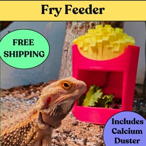 Reptile Feeder French Fry: Supplement Shaker, Enrichment Feeding Dish