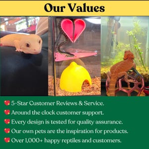 May include: A collage featuring a pale leopard gecko, a snake on a pink heart-shaped platform with a yellow lemon-shaped hide, and an orange bearded dragon on a geometric climbing toy, with text listing company values and customer service details.