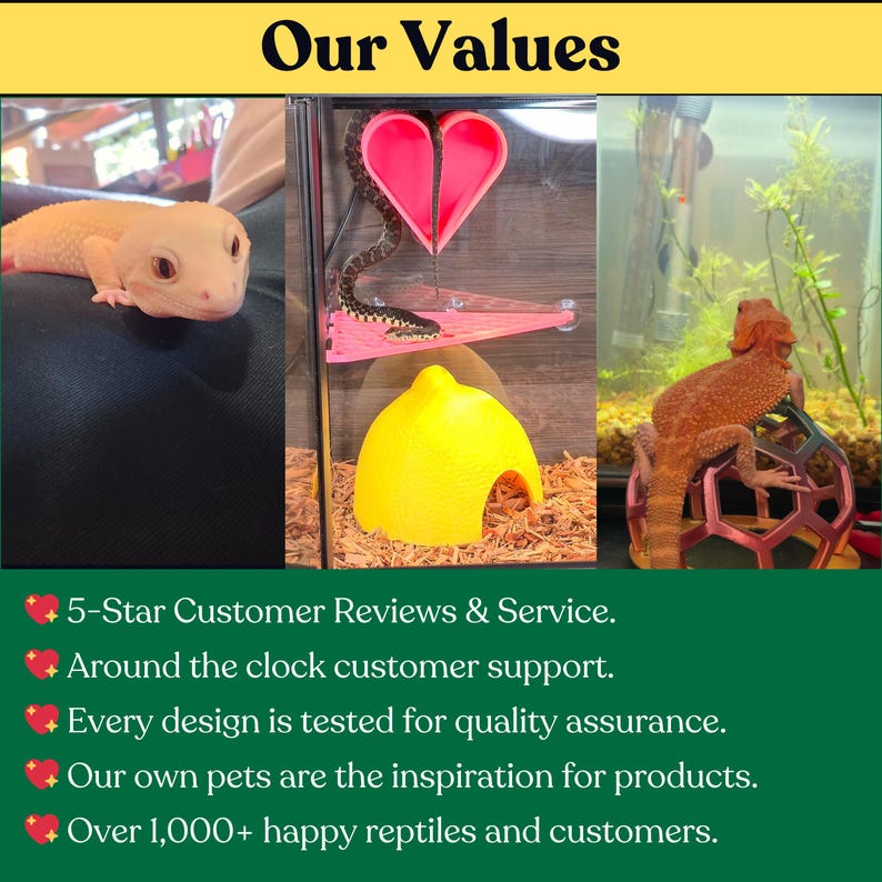 May include: A collage featuring a pale leopard gecko, a snake on a pink heart-shaped platform with a yellow lemon-shaped hide, and an orange bearded dragon on a geometric climbing toy, with text listing company values and customer service details.
