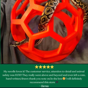 Patterned snake climbing across a red geometric enrichment ring with review text