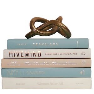 May include: A stack of six books with a gold metal knot sculpture on top. The books are in shades of blue and pink with white text titles. The titles are "Travelers", "Hivemind", "What I Found in a Thousand Towns", "Empty", "Women After All", and "Konner".