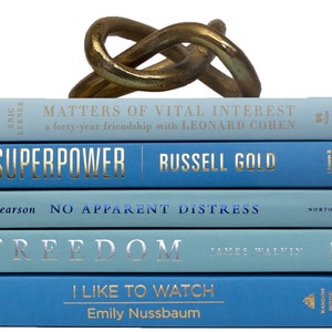 Blue Decorative Book Stacks | Perfect for Bookshelf Décor or Coffee Tables