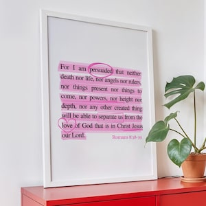May include: A red metal cabinet with a framed print featuring text in pink and black. A potted plant with large green leaves sits on top of the cabinet. A woven magazine rack and a tall lamp are also in the room.