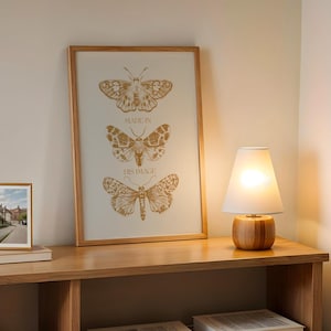 May include: A wooden framed print featuring three detailed butterfly illustrations in shades of gold, with the text "MADE IN HIS IMAGE". A small framed photo and a wooden lamp with a white shade sit on a wooden shelf.