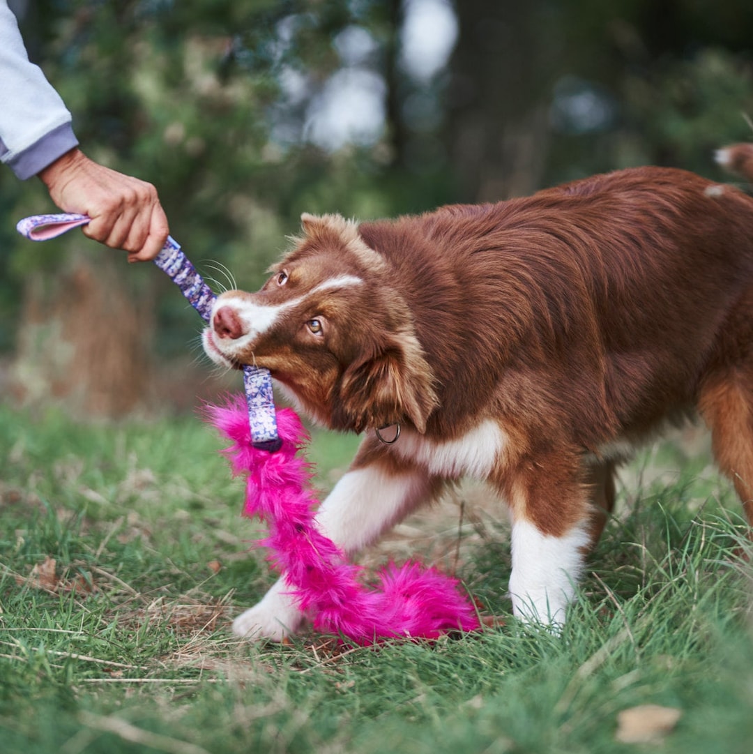 Bestwish Hundespielzeug Mit Quietscher – Bungee-Zerrspielzeug Im Leoparden-Design, Dehnbar Von 90–110 Cm, Für Kleine Bis Große Hunde