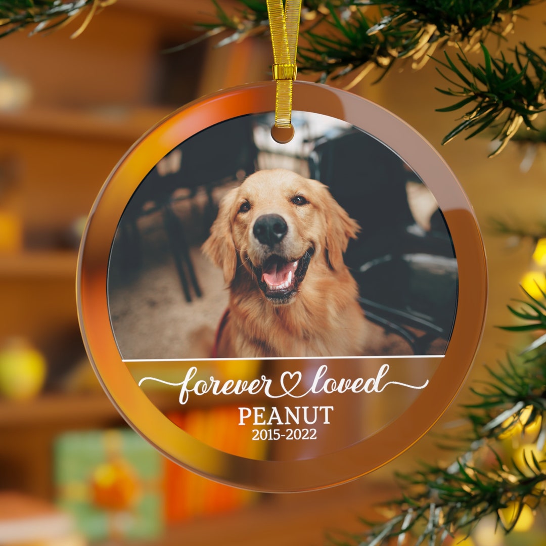 Dog Memorial Glass Ornament Dog Glass Ornament Dog Photo Etsy