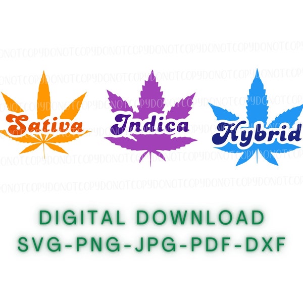 Cannabis labels SVG, PNG, JPG Digital Download File | Stoner Svg | Marijuana Svg | Cut File | Sativa, Indica, Hybrid Flower | Svg Bundle
