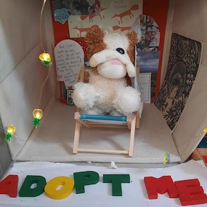 Puede incluir: Un perro de peluche blanco y marrón sentado en una silla de madera con un cojín azul. La silla está en una habitación pequeña con un cartel que dice "Adoptame" y una cadena de luces. El cartel está hecho de letras de madera de colores.