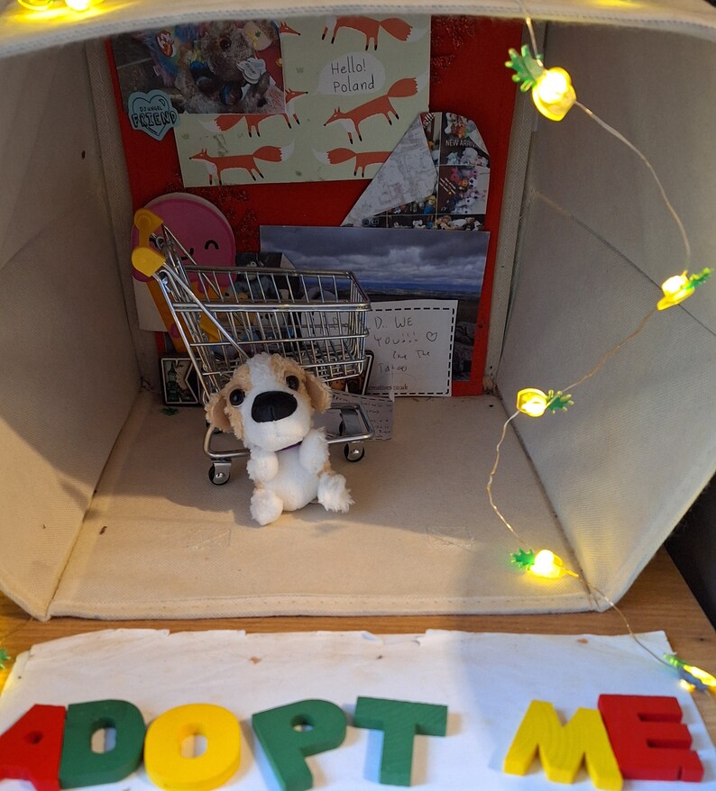 Tiny orange and white puppy dog for adoption image 1