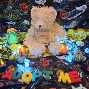 Op de afbeelding: Een zachte, beige teddybeer te midden van Halloween-decoraties, waaronder pompoenen, geesten en lichtslingers. De woorden "ADOPT ME" zijn in kleurrijke houten letters geschreven. Een feestelijke, seizoensgebonden presentatie.
