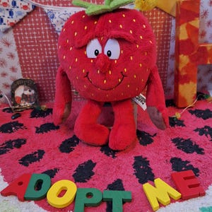 Grappige aardbeiknuffel voor adoptie