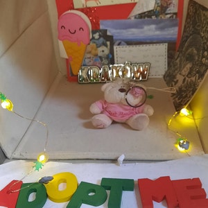 Puede incluir: Un oso de peluche rosa con una camiseta rosa que dice "Text Me Now" está sentado en una caja con una cadena de luces y las palabras "Adopt Me" escritas en letras de colores.
