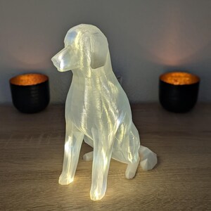 Op de afbeelding: Een doorschijnende, zittende hondensculptuur met interne verlichting, die een zachte gloed creëert. De hond staat op een houten oppervlak, met twee zwarte kandelaars op de achtergrond. De sculptuur is een decoratief item.