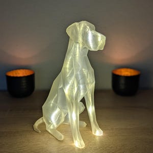 Designerlampa med en Grand Danois-design, anpassningsbar, en utmärkt presentidé för hundälskare och ett modernt inredningselement.