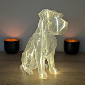 Può includere: Una scultura geometrica low-poly traslucida color bianco sporco che raffigura un cane seduto. La figura presenta sfaccettature angolari nette che catturano la luce, creando un aspetto cristallino. Il cane è raffigurato in posizione seduta con la testa girata.