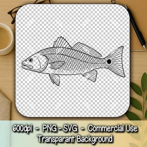 Redfish SVG Outline | Realistic Redfish Silhouette with Spot | Detailed Scales Vector Line Art Cut File