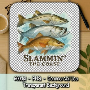 Saltwater Slam Clipart – Realistic Snook, Tarpon & Redfish Art, Coastal Fishing PNG for T-Shirts