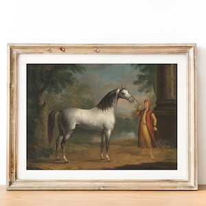 Antique Horse Painting - Vintage Print Of An Arab Stallion, 18th Century Oil Painting, Animal Wall Art, Equestrian Prints