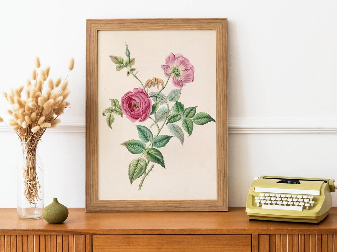 Vintage Pink Rose Print - Antique Botanical Wall Poster, Floral Art ...