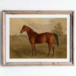 Vintage Brown Horse Painting - Antique Print Of Thoroughbred Horse, 19th Century Equestrian Fine Art, Animal Oil Paintings