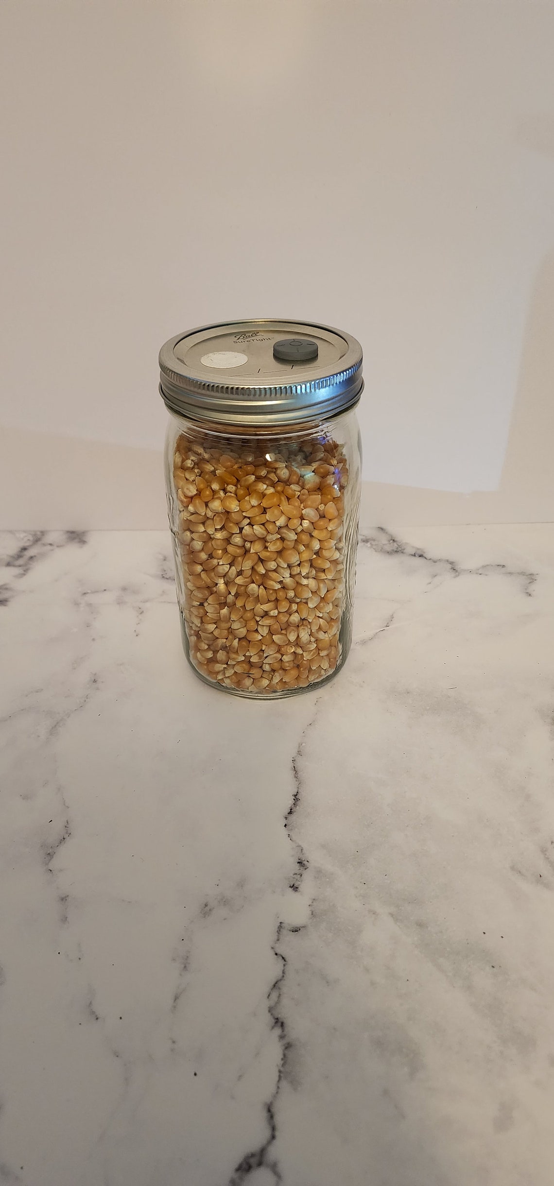 Sterilized Grain Spawn Jar1 Quart Etsy
