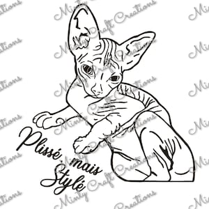 May include: A black and white line drawing of a Sphynx cat in a relaxed pose. The cat has large ears and is hairless. The words "Plissé, Minais, Style" are written in cursive below the cat. The image has the words "Minty Craft Creations" in a repeating pattern.