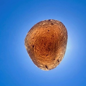 May include: A translucent, amber-colored, irregularly shaped stone object with a textured, pitted surface. The object is backlit, causing the edges to glow against a solid, bright blue sky background, highlighting its internal structure.