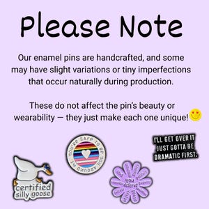 Pu&ograve; includere: Un assortimento di spille smaltate con vari disegni. Una spilla presenta un'oca con il testo "certified silly goose". Un'altra dice "You're safe to be around me". Una terza &egrave; un fiore con parole come "love" e "peace". Il testo "Please Note" &egrave; in alto.