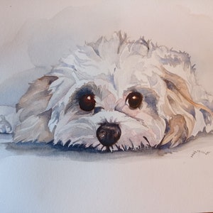 Vibrant, original watercolour Cavachon print on high quality textured card-suitable for framing (available in two sizes A4 and A3*)