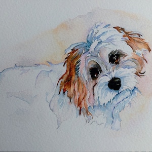Acquerello originale e vivace, adorabile stampa Cavachon su cartoncino testurizzato di alta qualità, adatto per essere incorniciato (formato A4).