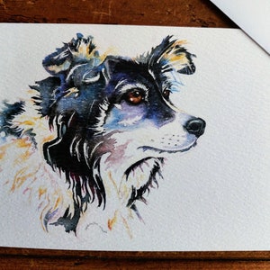 Bigliettino/i vuoto/i con busta/e. Cucciolo di cane Border Collie gallese (confezione da 4)
