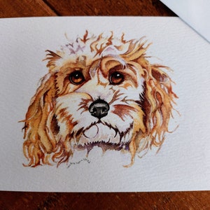 Blankozettel mit Umschlag(en). Cockapoo Hündchen (4er Pack)