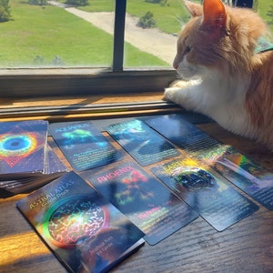 A spread of astrology oracle cards on a wooden surface next to a cat and window. The cards are black with saturated designs and text. The cards include 'Aquarius', 'Phoenix', 'Uranus', 'Earth', 'Wisdom', and 'Beauty', next to the 'Astral Atlas Guide Deck' and its Guidebook.