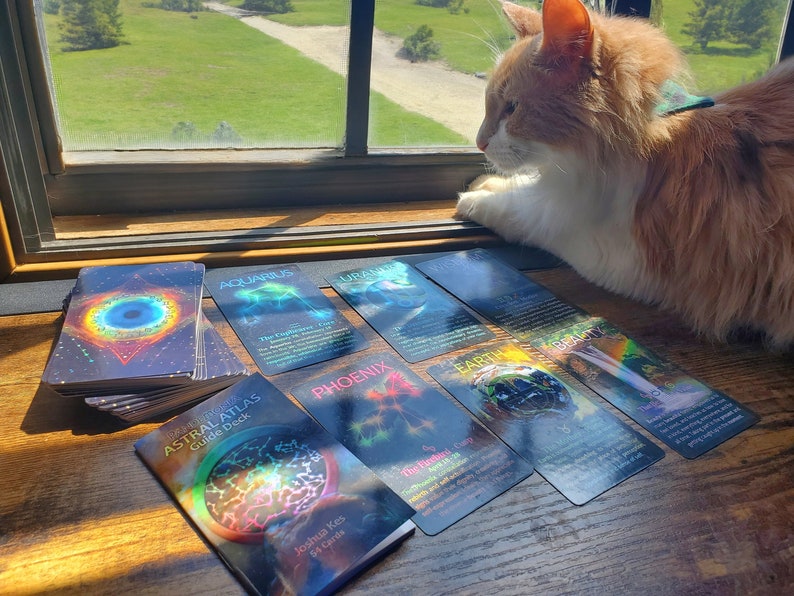 A spread of astrology oracle cards on a wooden surface next to a cat and window. The cards are black with saturated designs and text. The cards include 'Aquarius', 'Phoenix', 'Uranus', 'Earth', 'Wisdom', and 'Beauty', next to the 'Astral Atlas Guide Deck' and its Guidebook.
