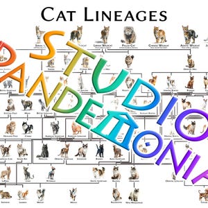 May include: A detailed chart titled "Cat Lineages" displays various cat breeds, arranged in a family tree format. The word "Pandemonia" is overlaid in colorful, stylized text. The chart includes images of different cat breeds.