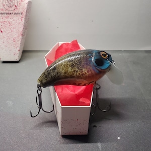 2.5 In. 1/2 Oz. Wake Bait