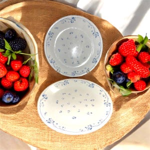 Set of 2 Vintage Provincial Blue Corelle Dinner Plates by Corning - Rare!
