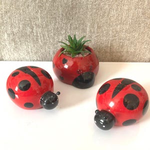 May include: A collection of red ladybug-themed decorative items. The set includes two round ladybug figurines with black spots and a ladybug-shaped planter with a small succulent plant. The items are glossy and have black antennae.