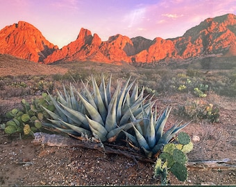 Fotografía de Peter Lik firmada y numerada “Texas Summer”