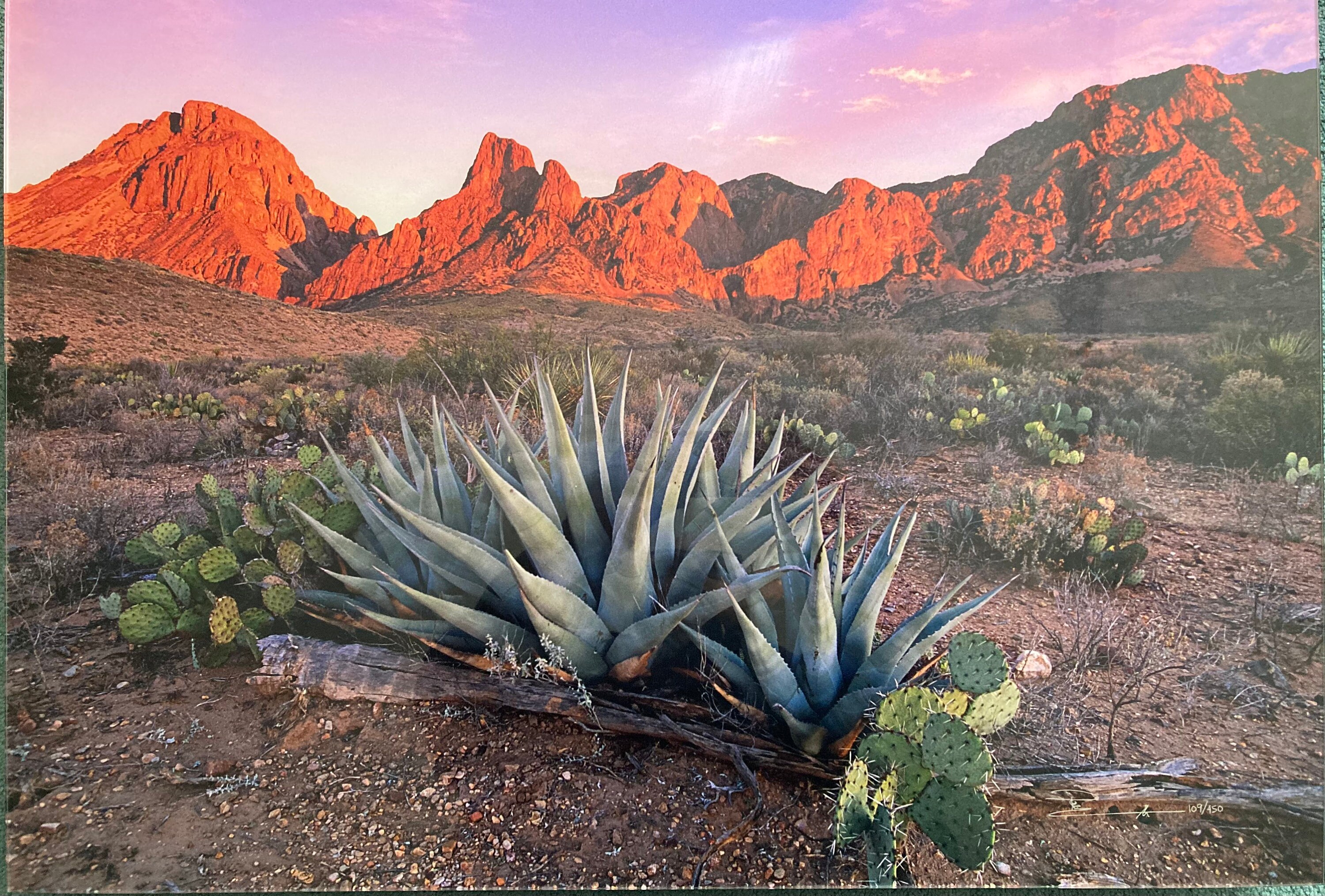 Peter lik - Etsy 日本
