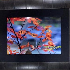 Peter lik - Etsy 日本