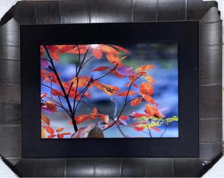 Peter lik - Etsy 日本