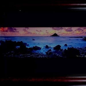 Peter lik - Etsy 日本