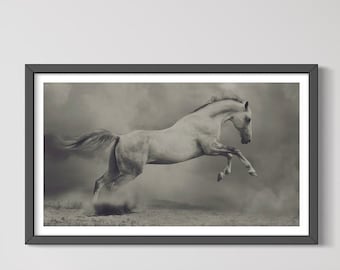 Equestrian Horse Photography, Farmhouse Wall Art, Framed Art