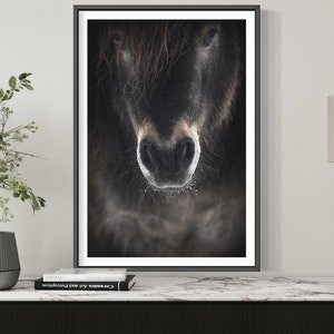 Ulysses Wall Art | Vintage Horse Photography Poster for Office, Living Room Wall Decor | Farmhouse Horse Portrait Print for Horse Lover Gift