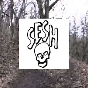 Sesh Bones decal
