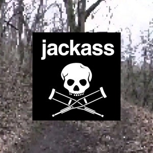 Jackass skull and crutches Decal